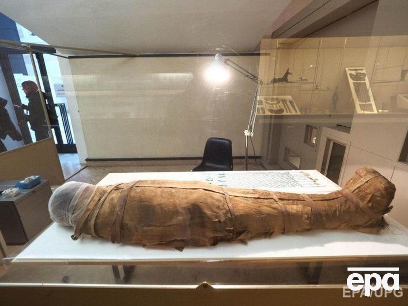 Скелет мумифицированного жителя Фив хорошо сохранился
