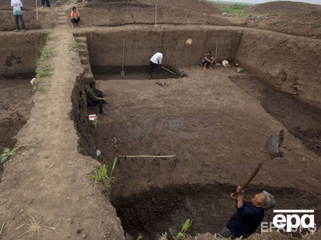 Археологи рассказали о древних костях крокодилов