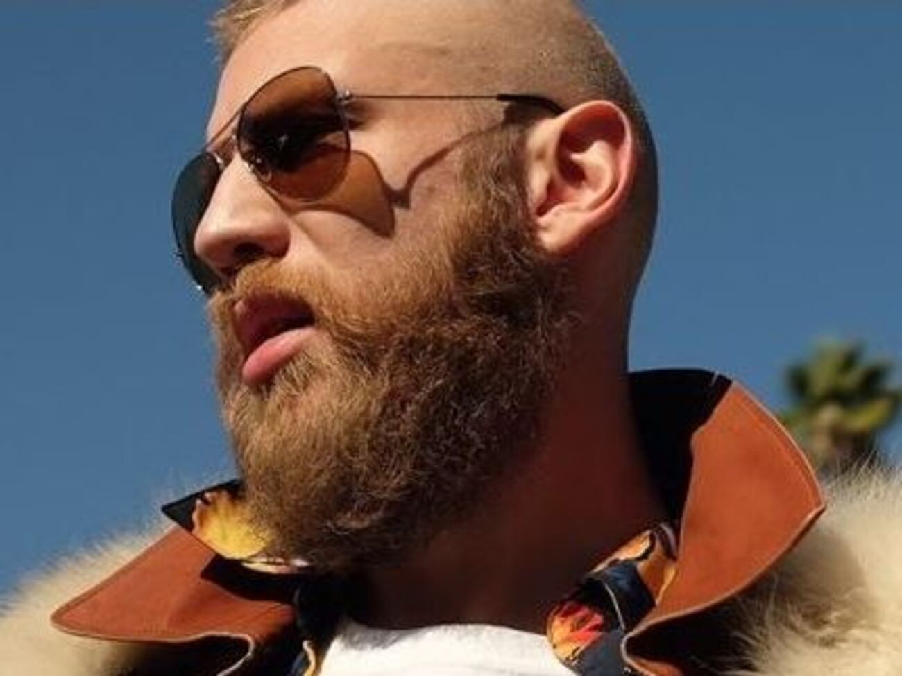 Дорн выпустил клип на песню из нового альбома