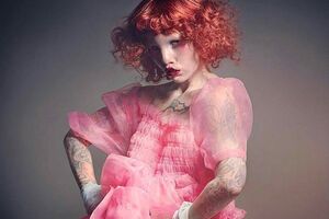 Стіклс позувала для V Magazine