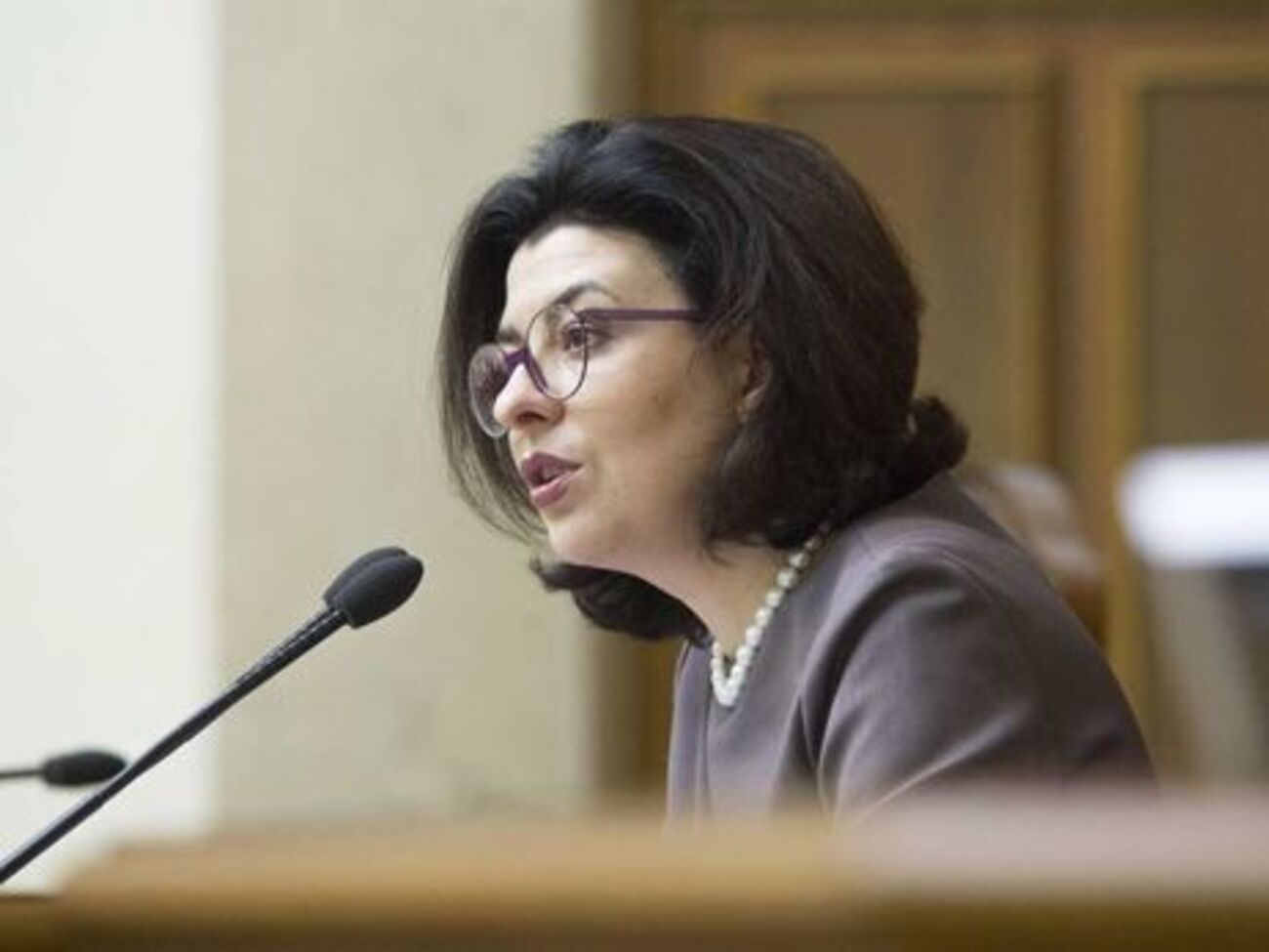 Сироїд: Парламент повинен працювати згідно з визначеним порядком