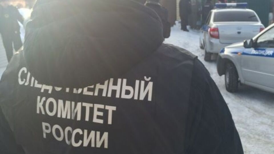 Слідчий комітет РФ із 2014 року відкрив 102 кримінальні справи проти українських військових