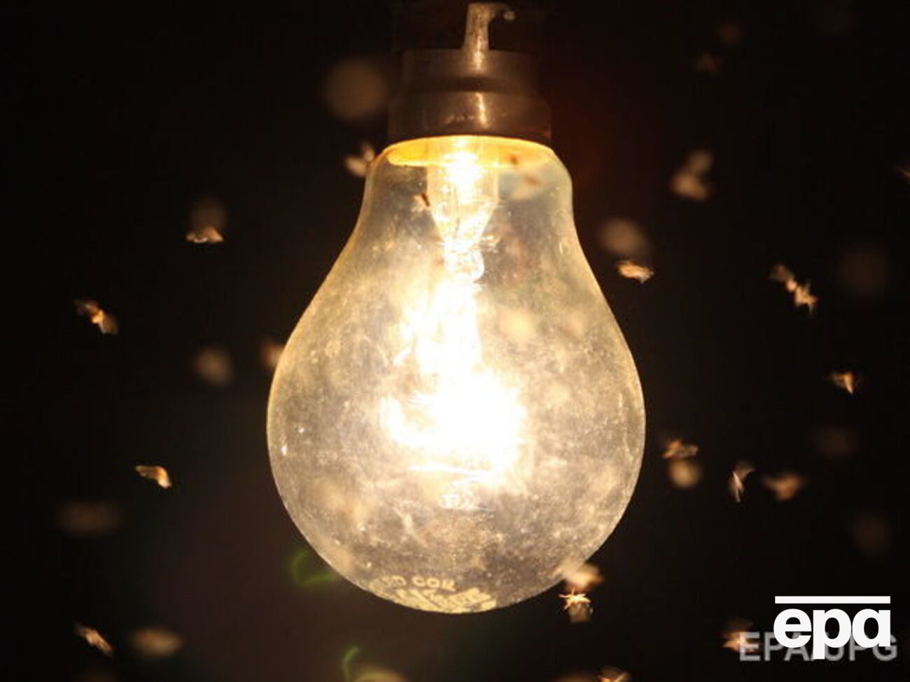 Долги украинцев за ЖКХ растут, сообщили в Госстате