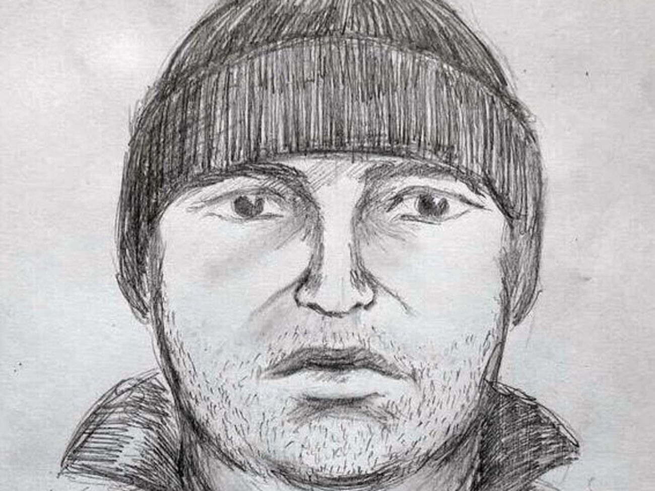 Зі слів свідків і очевидців зроблено фоторобот викрадача маршрутки в Києві