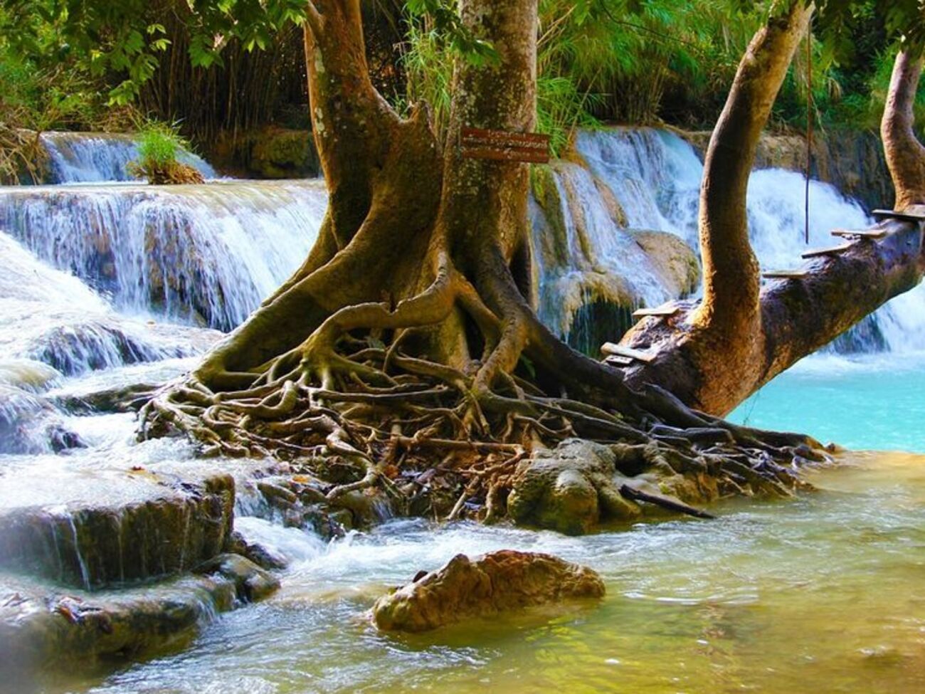 Буря зламала велике дерево, що росло біля водоспаду