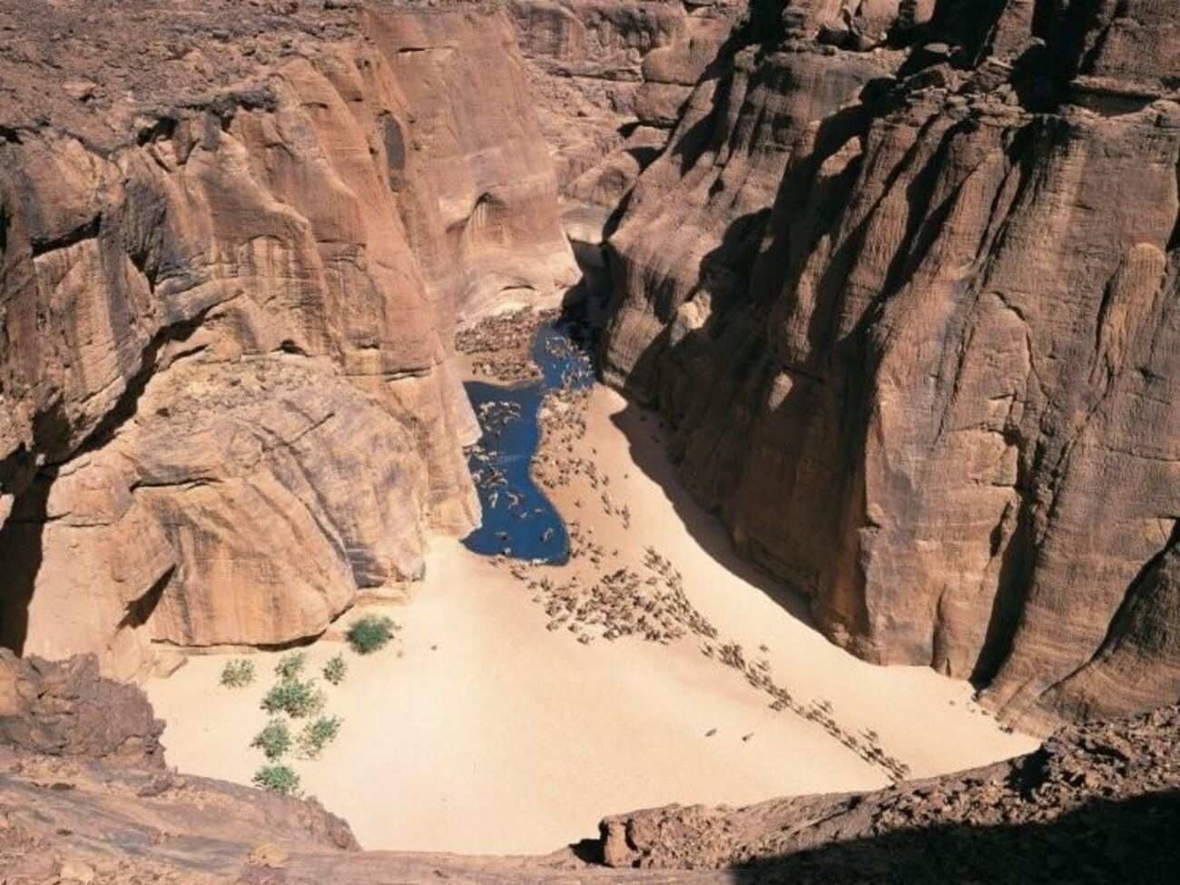 На плато Эннеди отправлена команда специалистов для оценки нанесенного ущерба