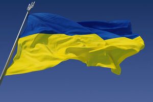 Повідомлялося, що поліція оштрафувала аспіранта за те, що він розмахував прапором і нецензурно висловлювався