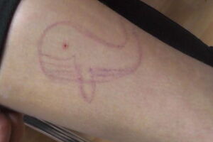 Фанаты суицидальных сообществ называют себя китами, потому что эти животные ассоциируются у них со свободой