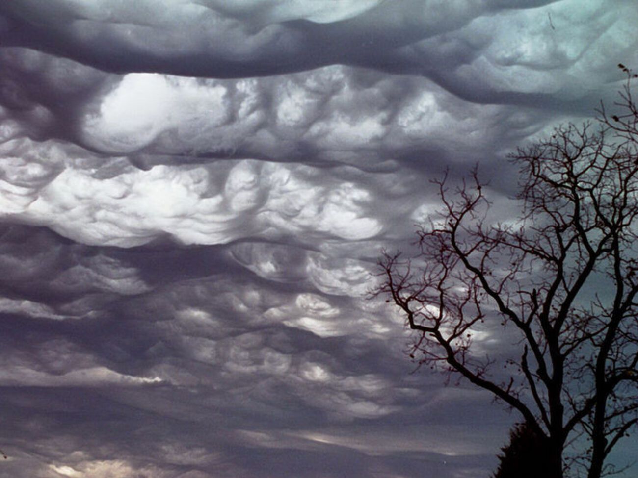 Хмари Undulatus asperatus офіційно визнали метеорологи
