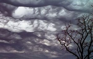 Хмари Undulatus asperatus офіційно визнали метеорологи