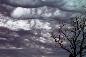 Облака Undulatus asperatus официально признали метеорологи