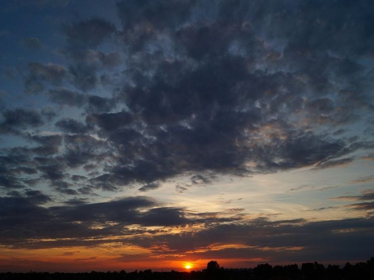 У ДСНС попередили про сильний вітер у Києві