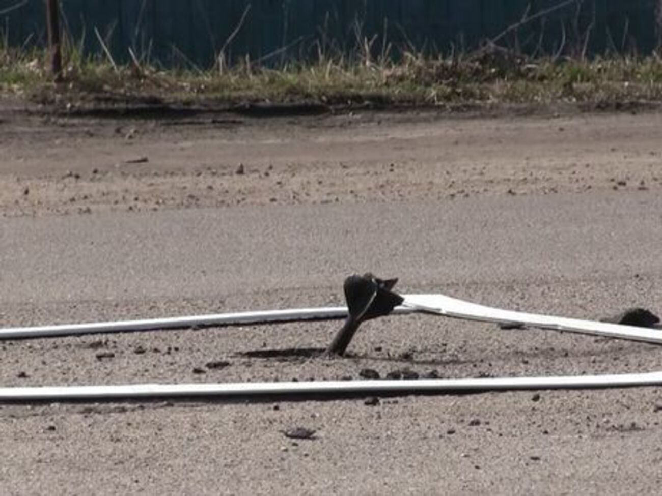 Розмінування в Балаклії триває