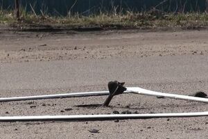 Розмінування в Балаклії триває