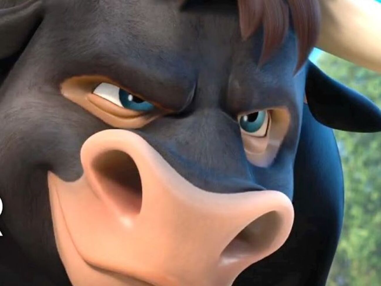 Бик Фердинанд має битися з іншими биками на турнірі