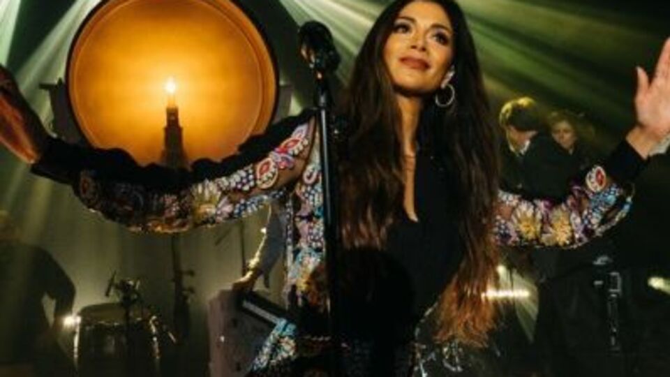 Шерзінгер в оригінальній манері виконала пісню виконавиці Sia