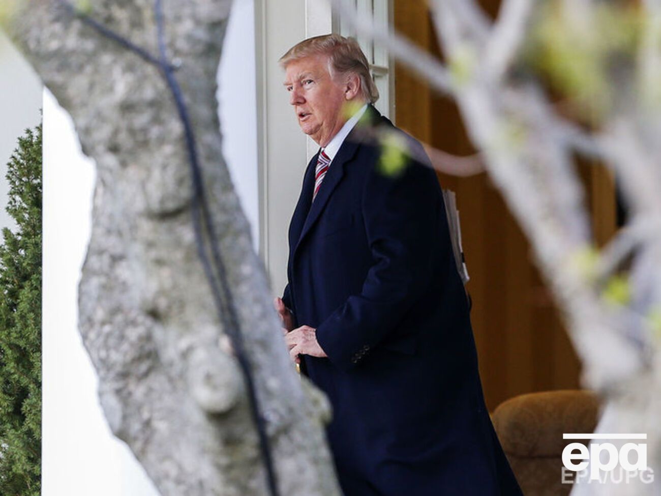 Трамп &ndash;&nbsp;сенатору-демократу: Абсолютный лицемер!