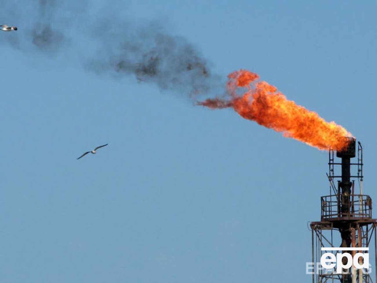 Появление новой частной компании на шельфе &ndash; неожиданность, поскольку по российским законам здесь разрешено работать только государственным компаниям или тем, у которых лицензии были выданы до мая 2008 года