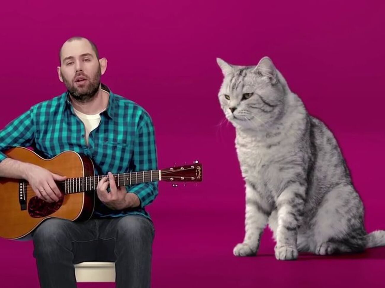 Слепаков спел о чрезмерной любви к коту