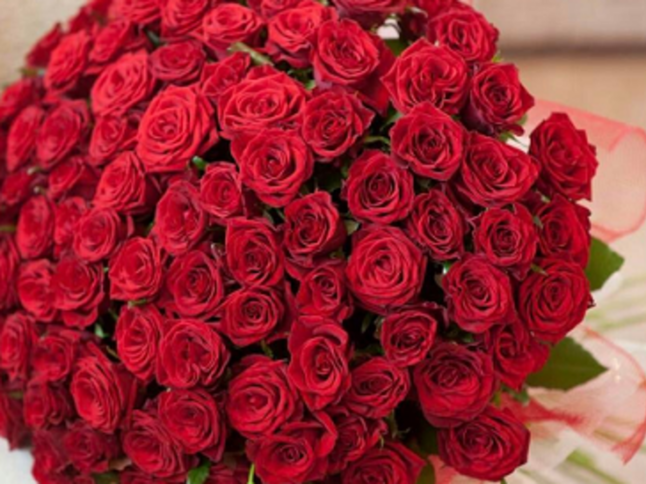Букет із 101 троянди пропонують взяти в оренду
