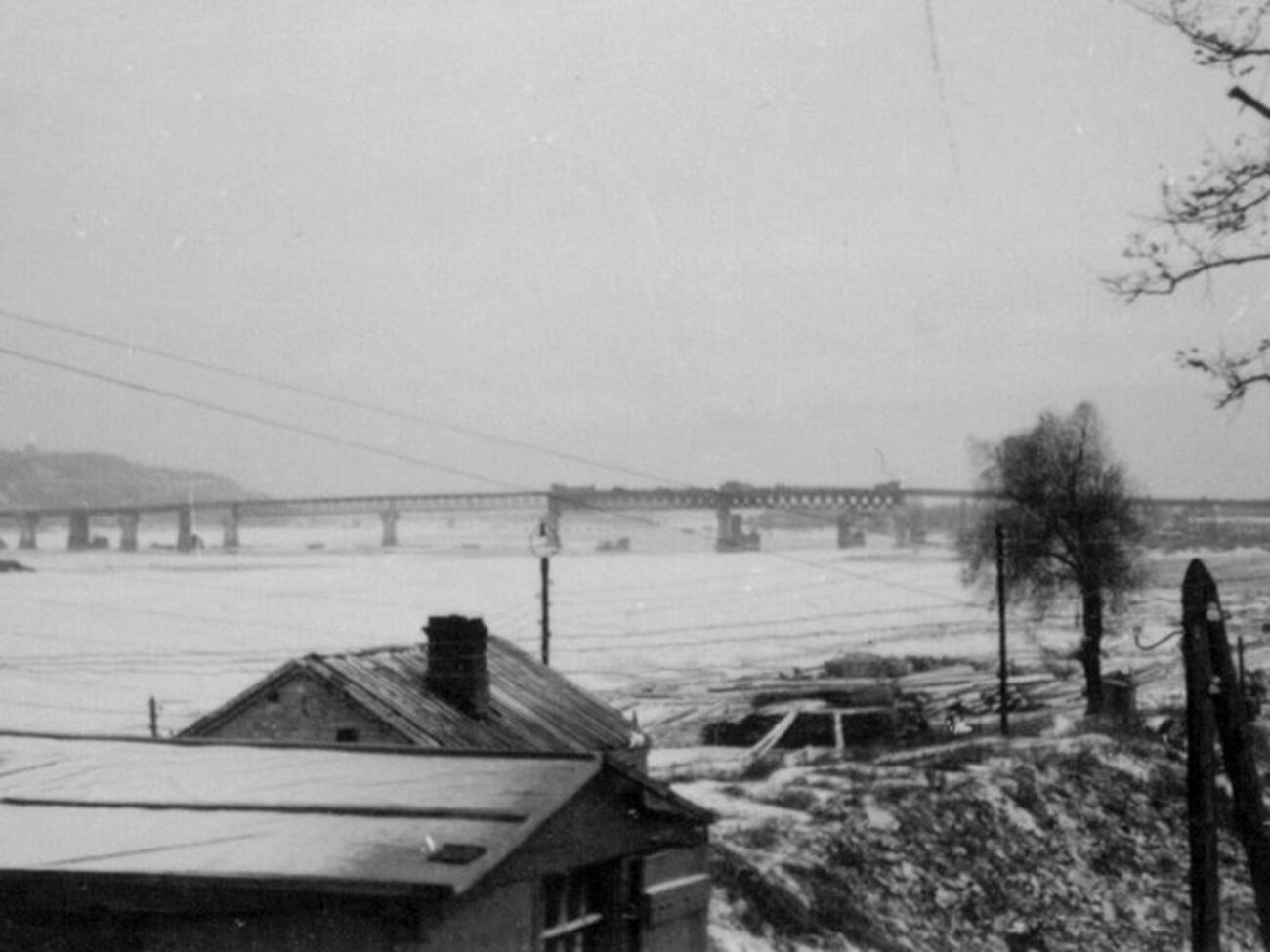 Хорошунова:&nbsp;Я определенно схожу с ума. Другие, наверное, плакали бы, кричали. А я молчу, потому что слез нет