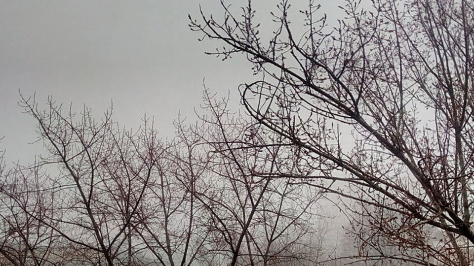 Туман над городом не рассеялся