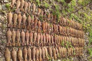 У Києві рятувальники виявили та знешкодили 119 мін часів Другої світової війни. Фоторепортаж