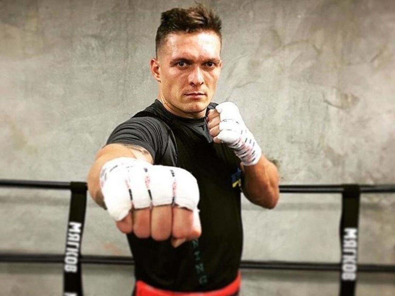 В 2016 году Усик завоевал титул чемпиона мира WBO