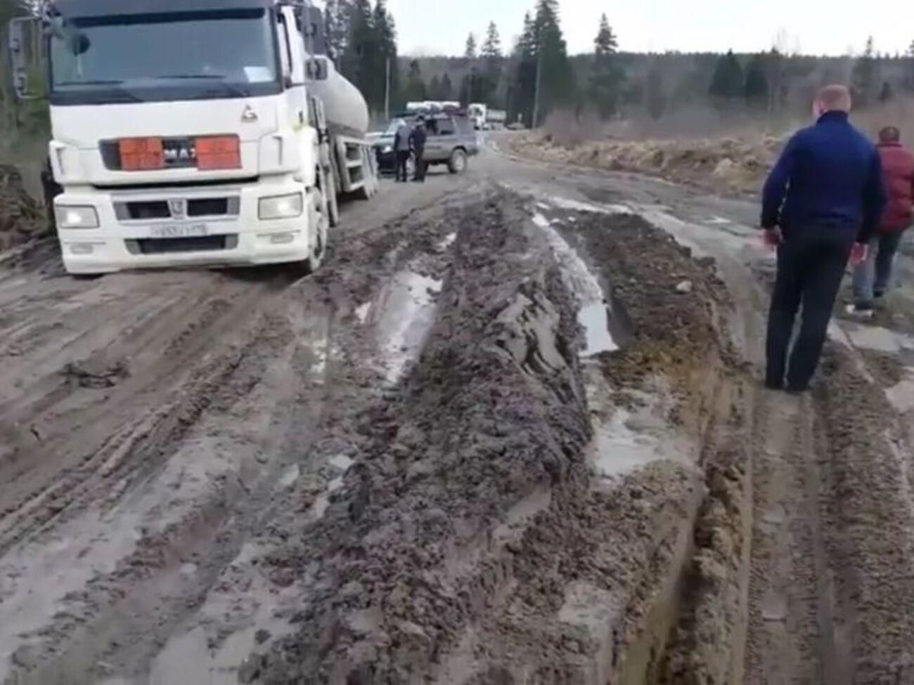 Автомобілі застрягли в багнюці