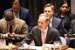 Посол Райкрофт надеется, что новая резолюция будет принята Совбезом
