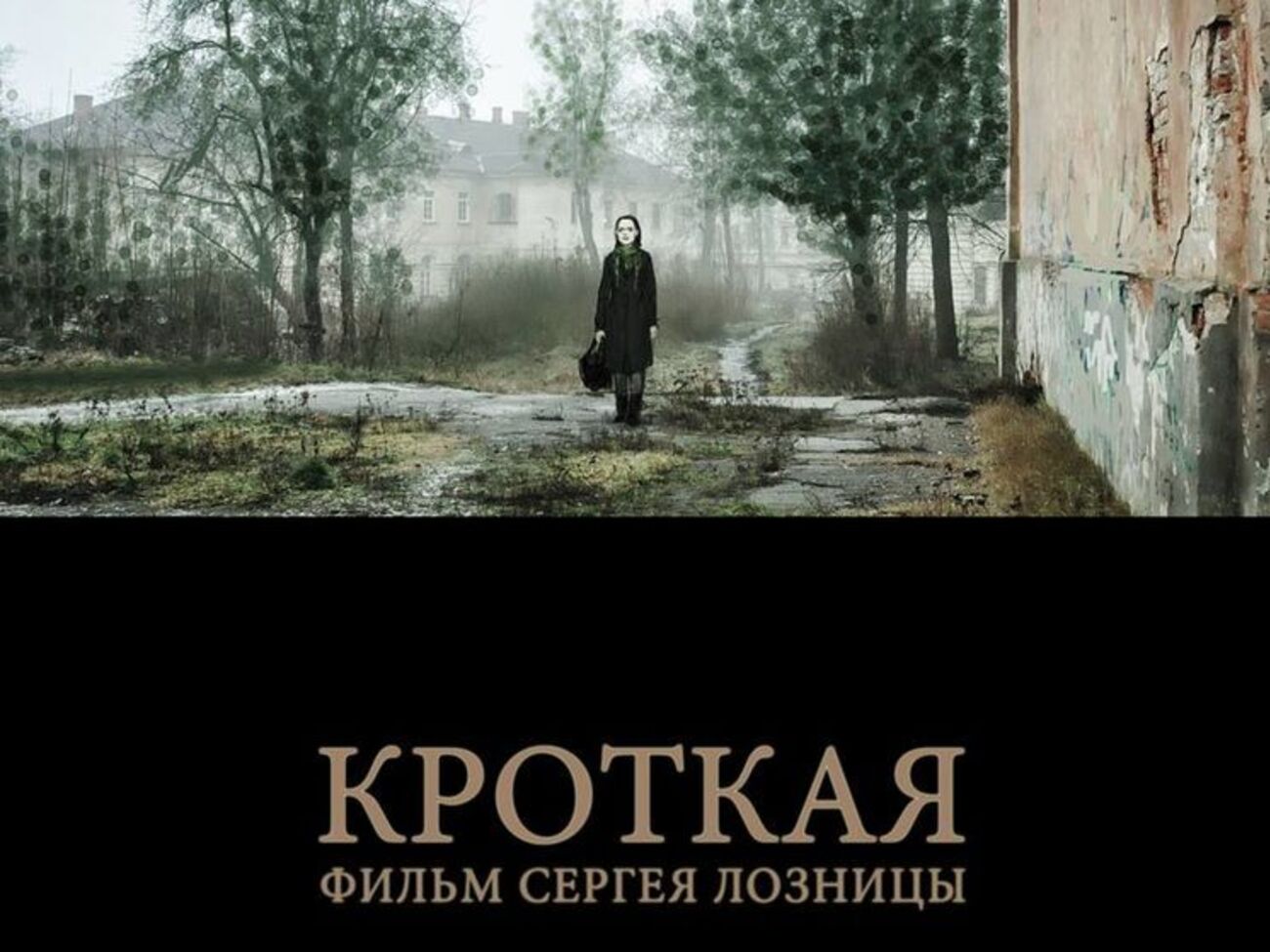 Сценарий к фильму "Кроткая" был написан по мотивам одноименной повести Федора Достоевского