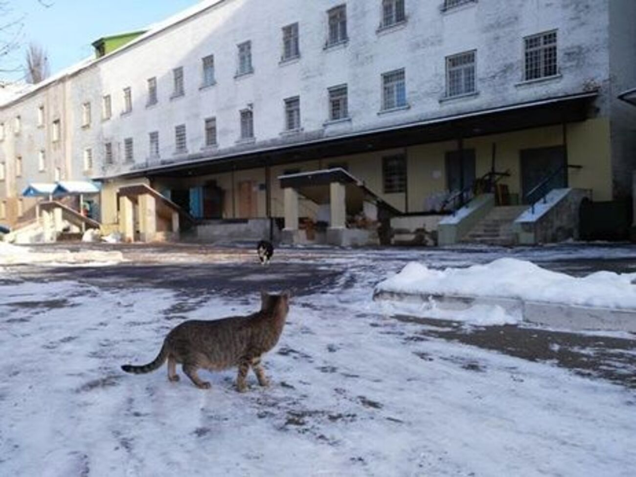 Протягом тижня в Лук'янівському СІЗО померло четверо затриманих