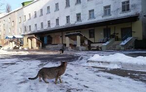 Протягом тижня в Лук'янівському СІЗО померло четверо затриманих