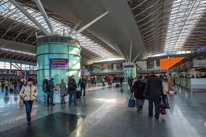 Росіянку з бази розшуку Інтерполу затримали в аеропорту "Бориспіль"