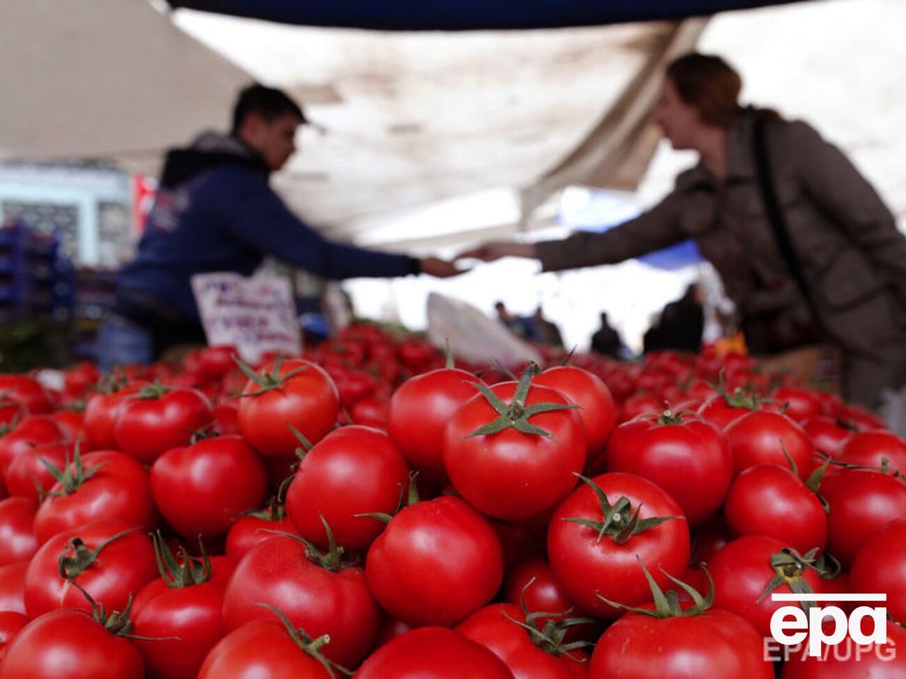 Російське ембарго зумовило зростання цін на помідори в магазинах