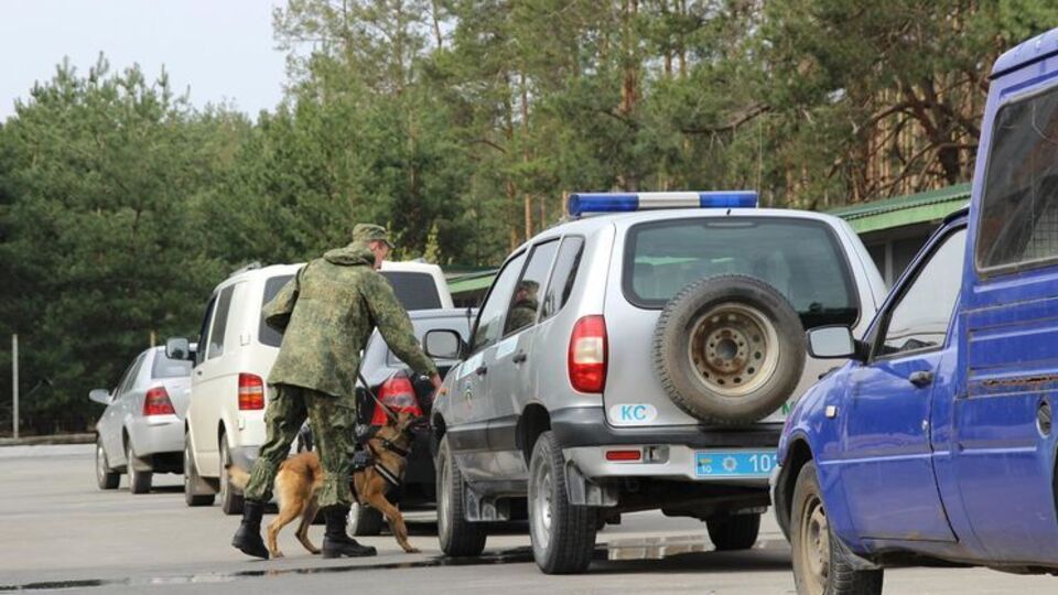 Собак тестували на пошук зброї в транспорті