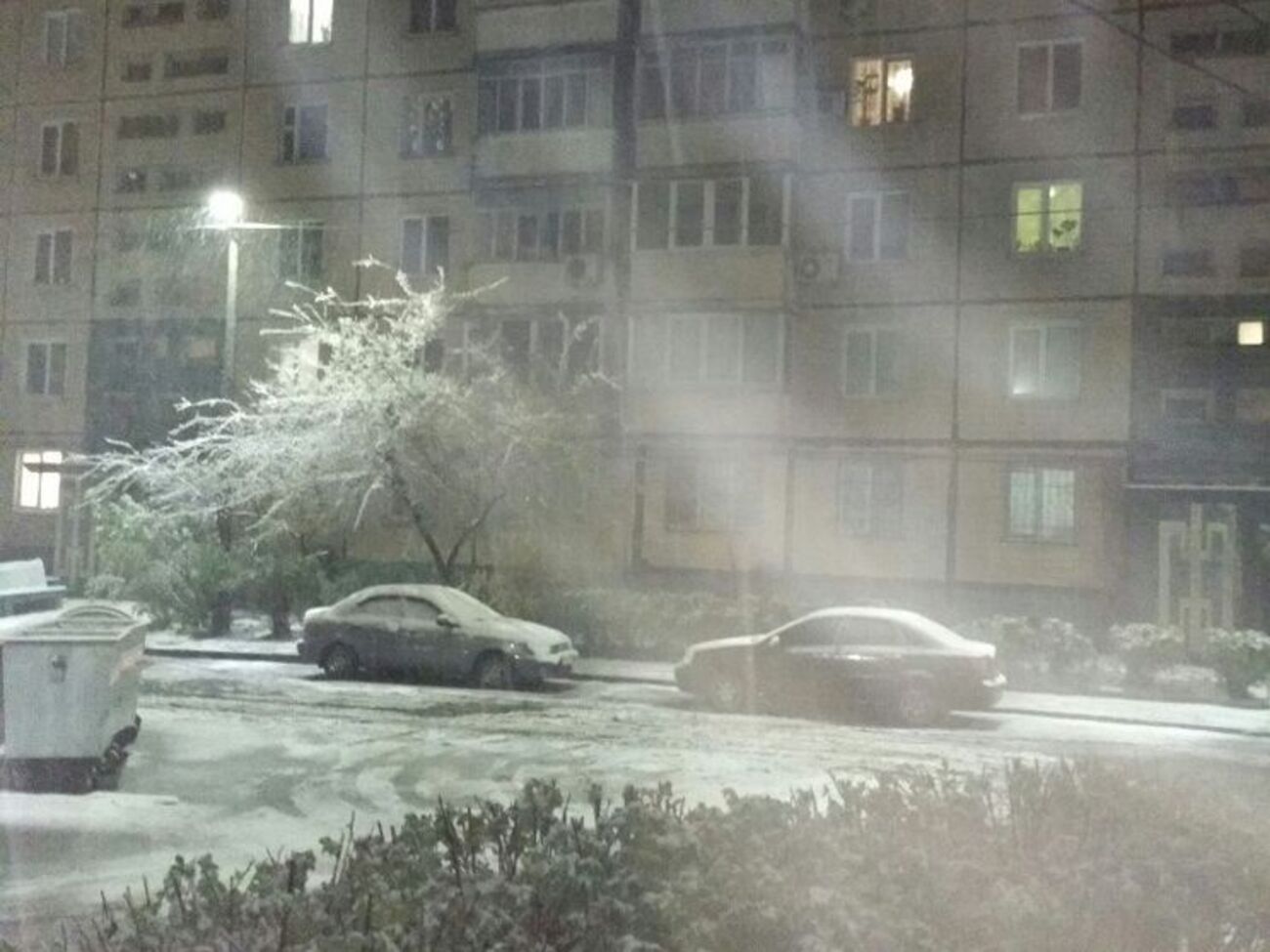 Из-за снегопада в Днепре повалило 2600 деревьев