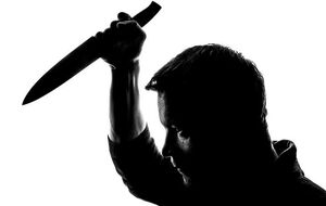 Дело расследуют как умышленное убийство