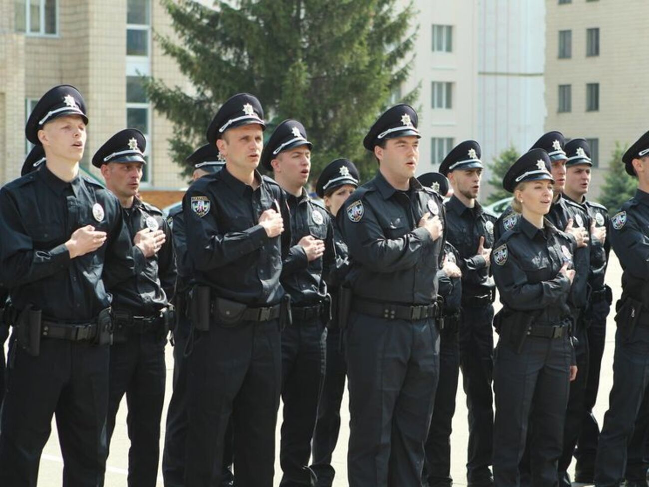 Нова поліція працює вже майже два роки