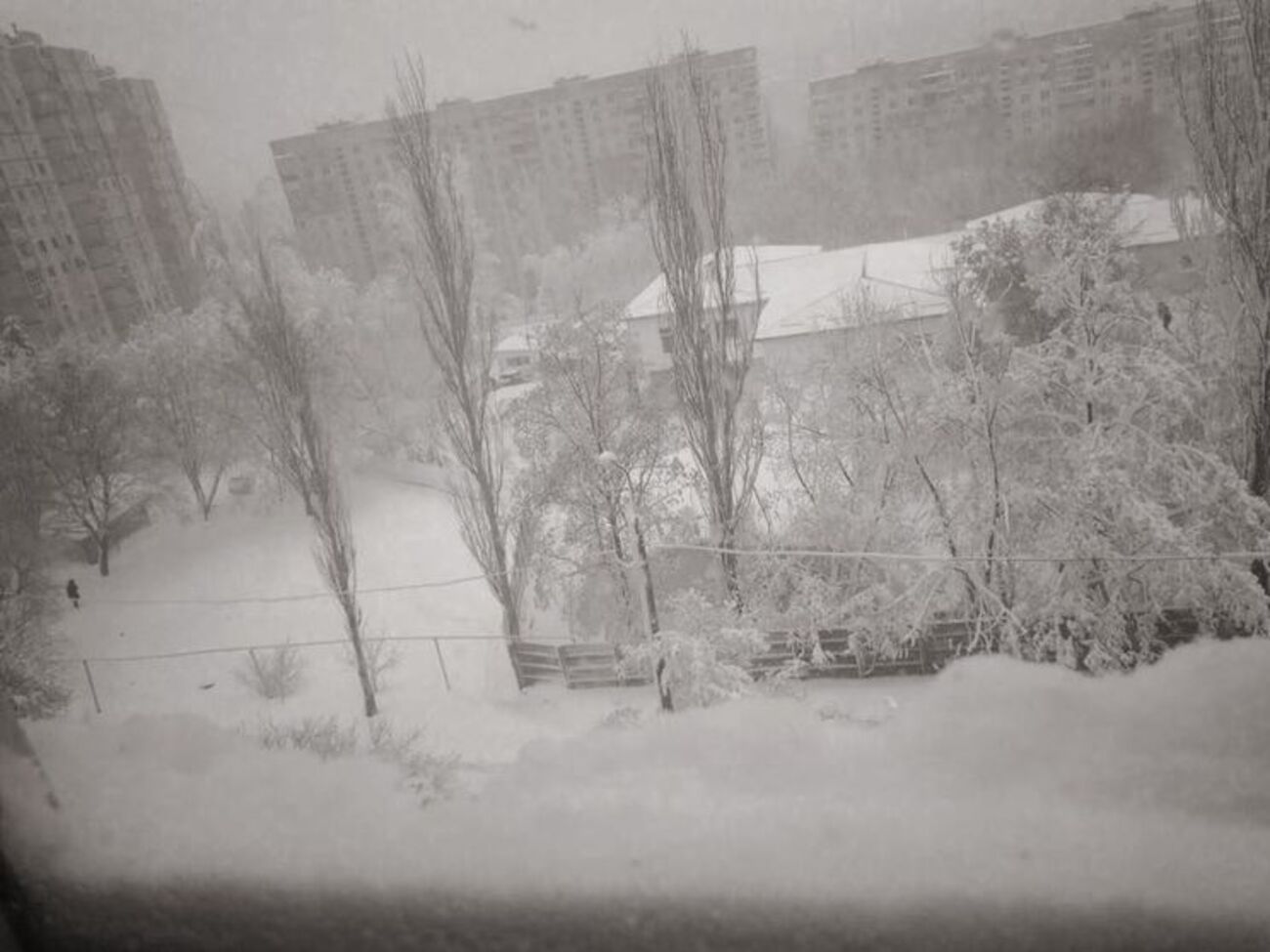 19 апреля восточную часть Украины накрыло снегом