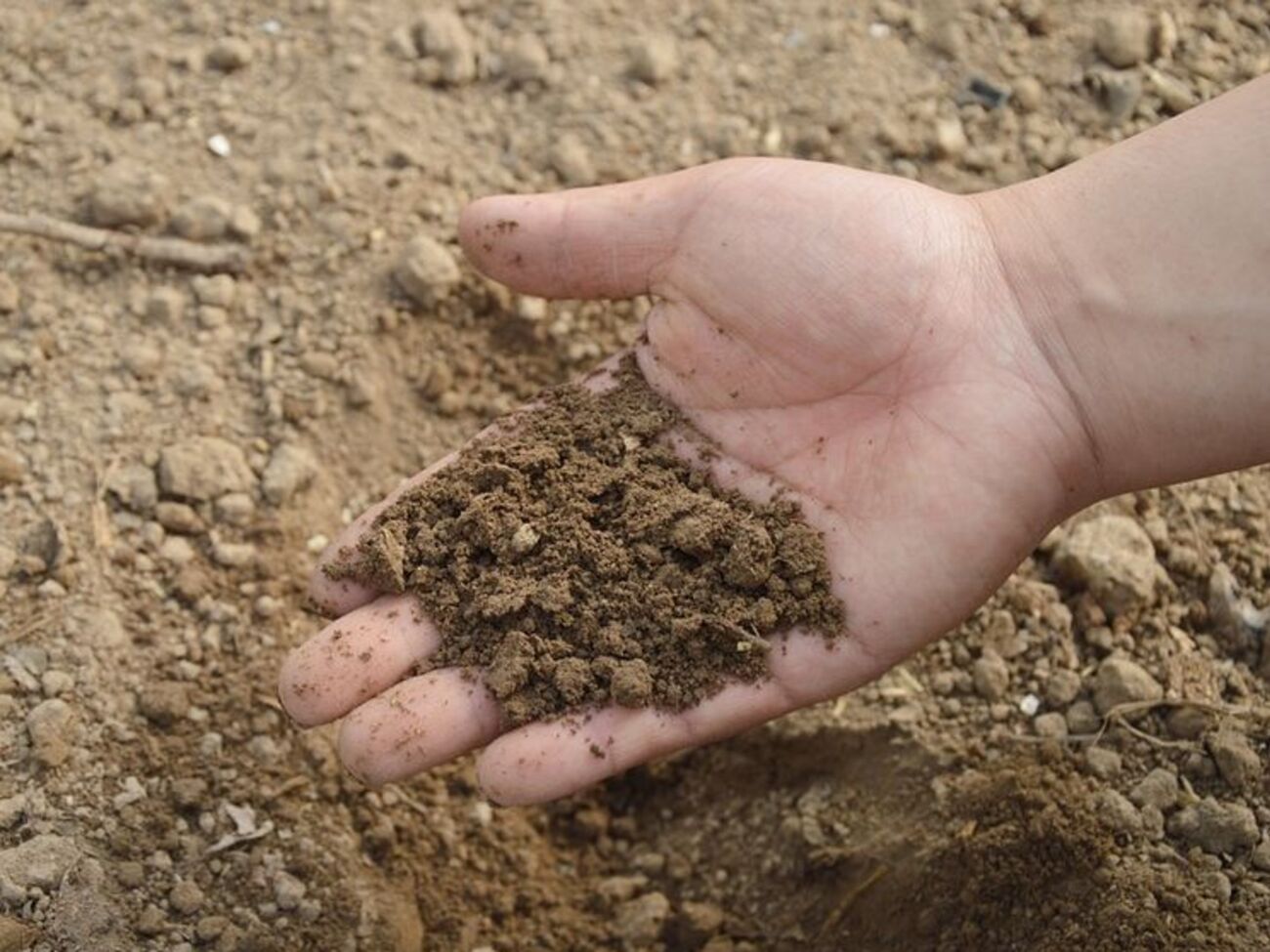 Из России в Украину за последние три года ввезли 2 млн 476 тыс. тонн азотных минеральных удобрений на общую сумму $513 411 млн