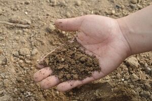 Из России в Украину за последние три года ввезли 2 млн 476 тыс. тонн азотных минеральных удобрений на общую сумму $513 411 млн