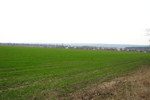 На урожай озимих похолодання у квітні не вплине