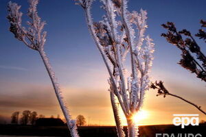 Сьогодні вночі в низці областей очікуються заморозки