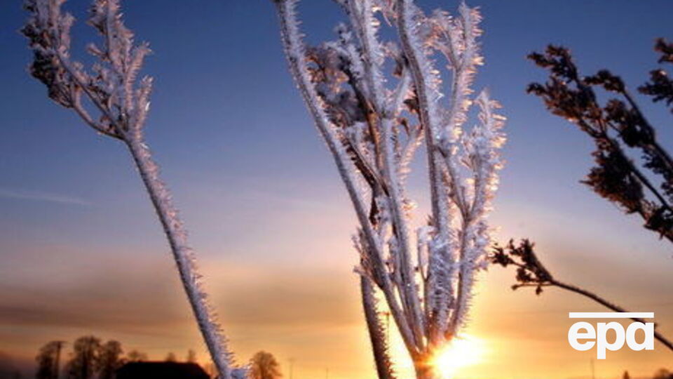 Сьогодні вночі в низці областей очікуються заморозки