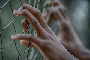 Сухую голодовку украинец объявил от безысходности