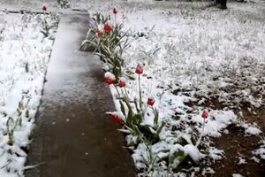 Снег выпал второй раз за пять дней