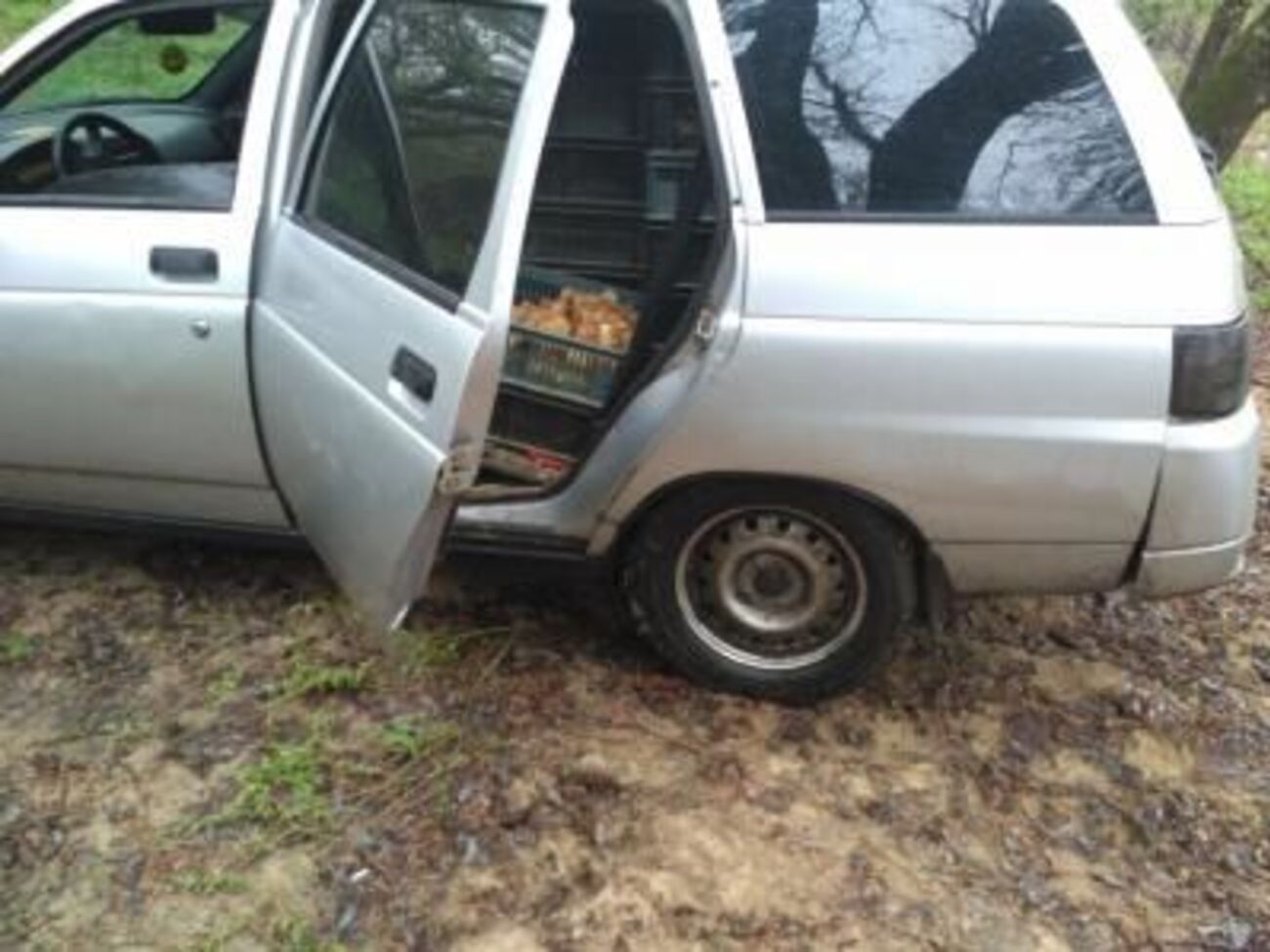 Жінка намагалася вивезти каченят на не підконтрольну Україні територію