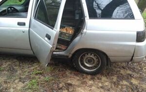 Жінка намагалася вивезти каченят на не підконтрольну Україні територію