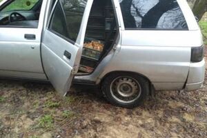 Жінка намагалася вивезти каченят на не підконтрольну Україні територію